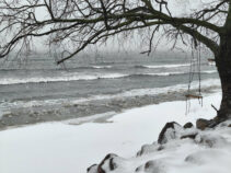 Redmi Note 15 Pro Sample 13